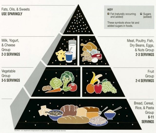 Food Guide Pyramid 2