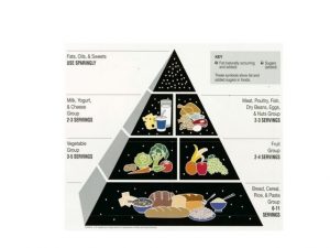 Food Guide Pyramid