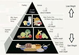 Food Guide Improved4